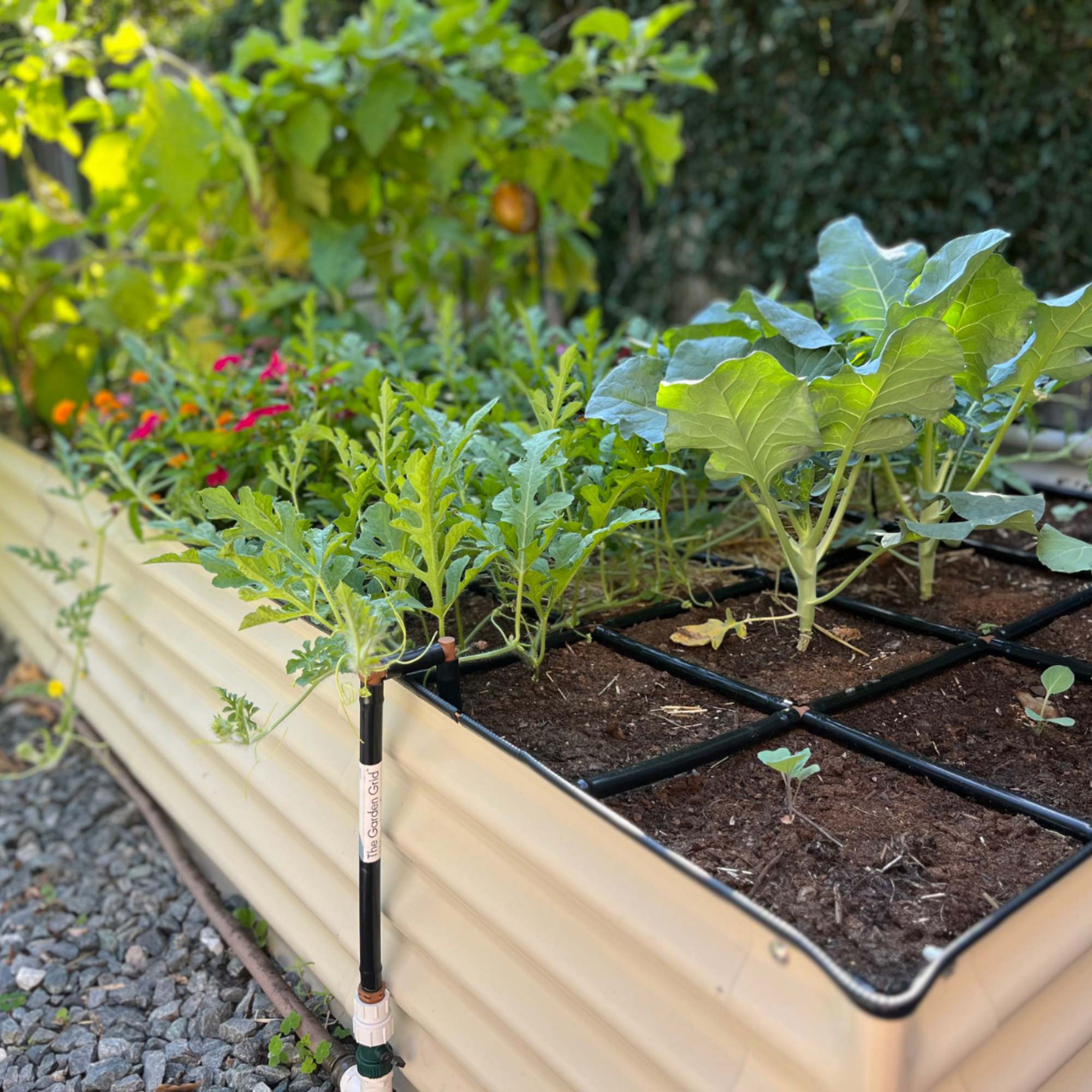 Garden In Minutes raised bed system