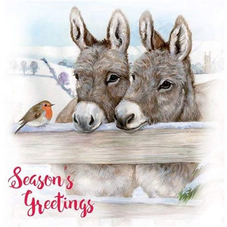 Two donkeys in the snow with a robin Christmas card