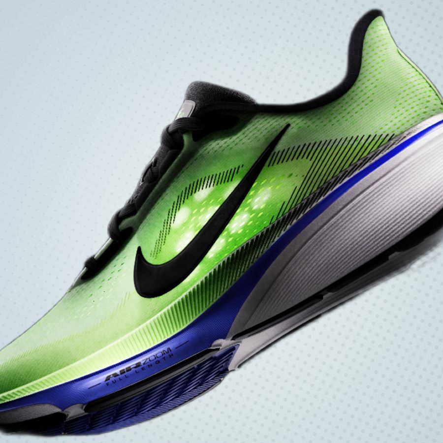 zoom pegasus vs zoom fly