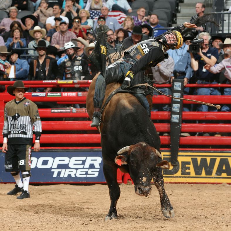 Profession Bull Riding Pro Bull Riding Uk