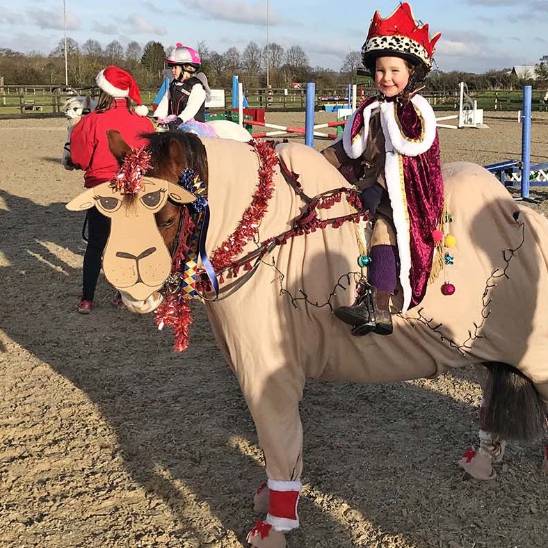 horse christmas dress up Get into the festive spirit! 13 fancy ideas for riders of all ages and their (reindeer) mounts Size:US 26 Old Navy Maternity Full 7.25.26 Christmas parade 33” breastcollar
