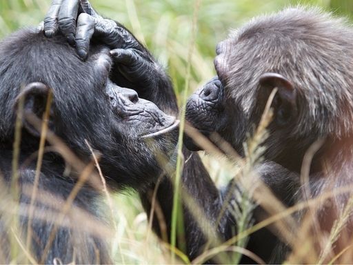 Rus baliqchi ayol porno