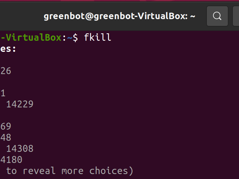 Kill Linux Processes the Easy Way with Fkill | Tom's Hardware