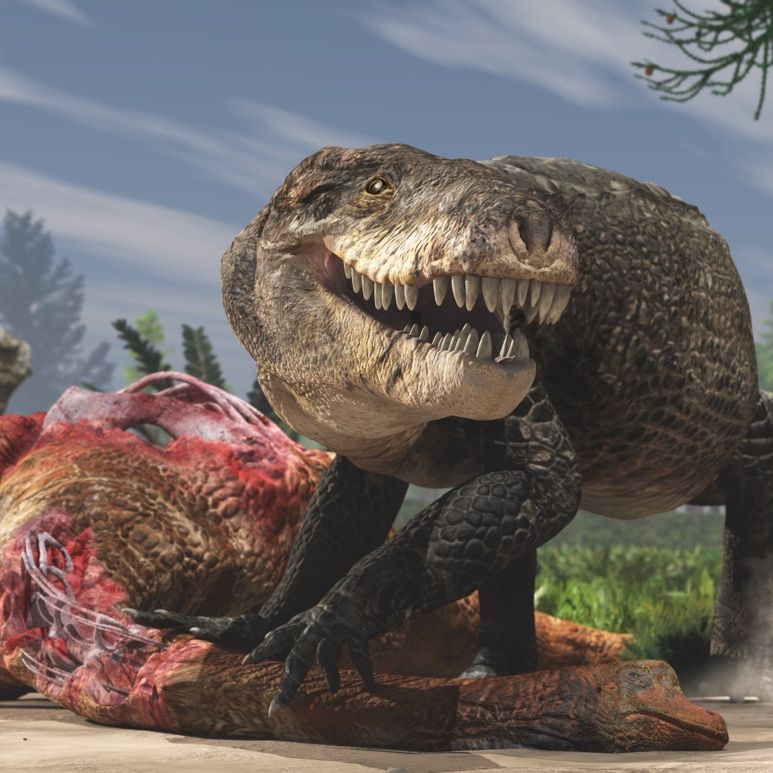 Super Croc with T. Rex Teeth May Have Chowed Down on Dinosaurs