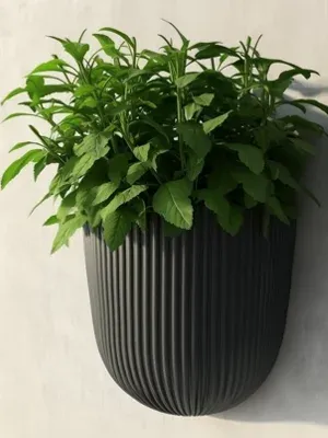 Wall Mounted Flower Pot Planter Plastic Hanging Basket Grooved Texture Anthracite