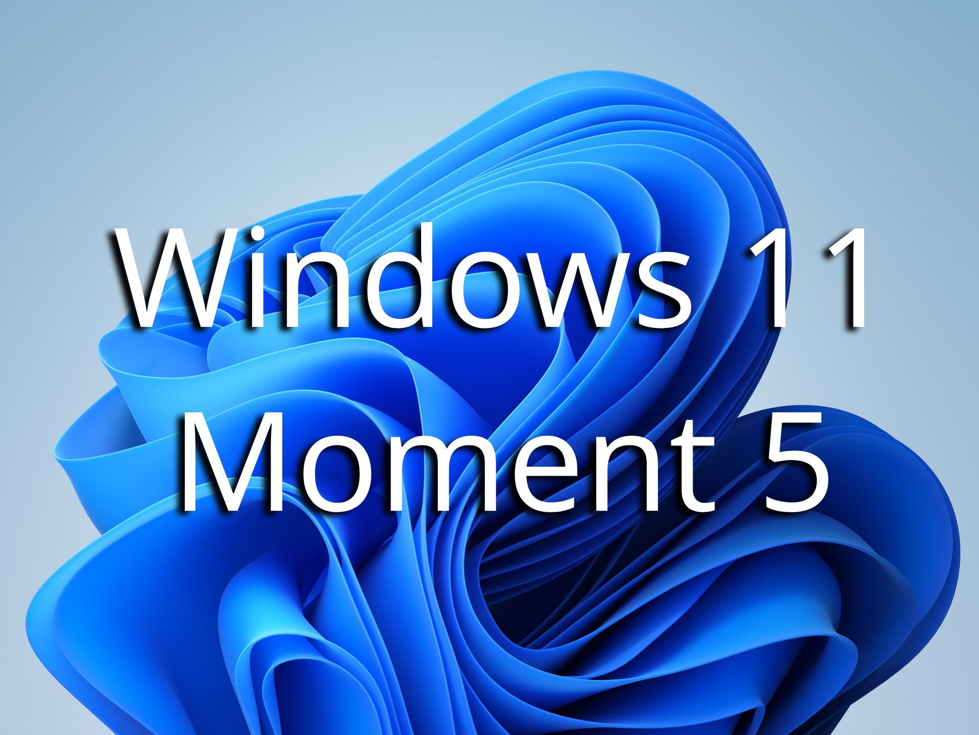 I downloaded the new Windows 11 update set to go public soon