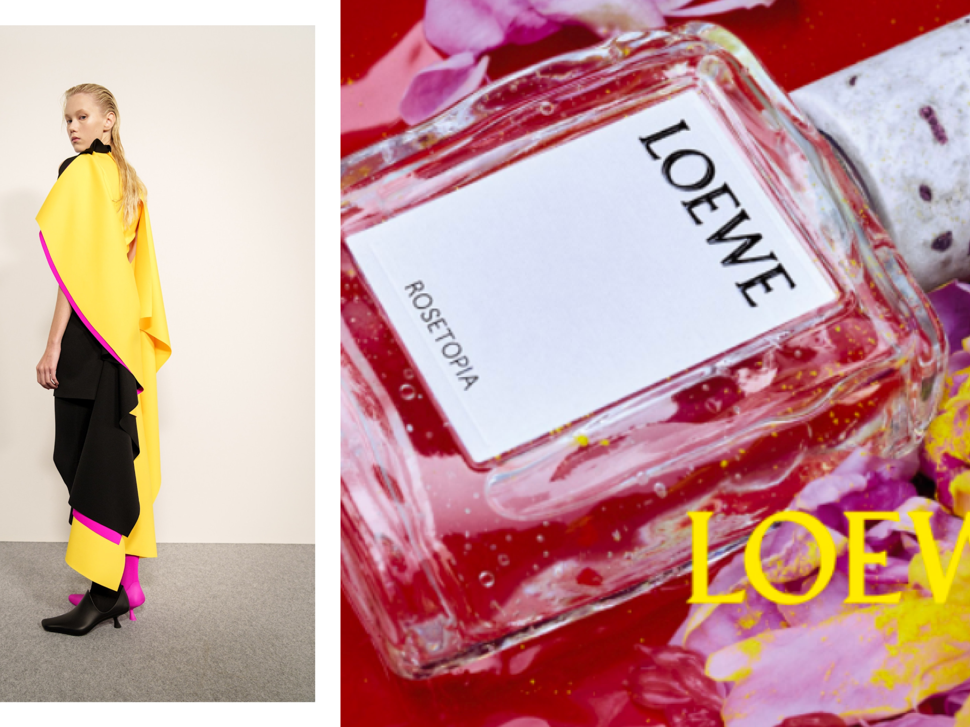 Loewe Crafted Collection 2026: Fragrance Review | Marie Claire
