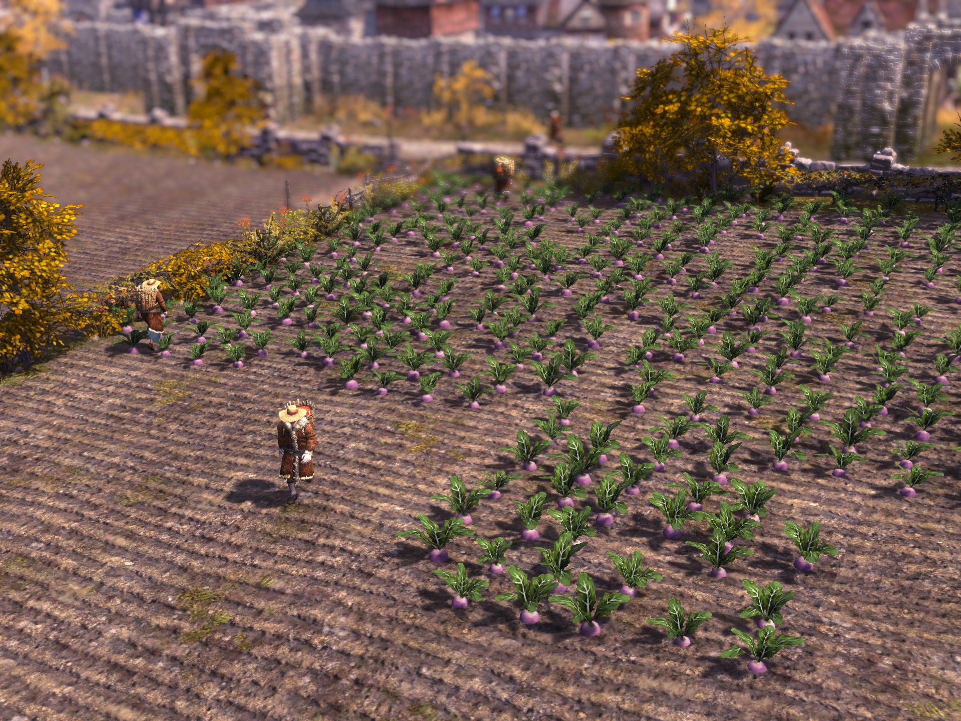 Farthest Frontier crop rotation guide | PC Gamer