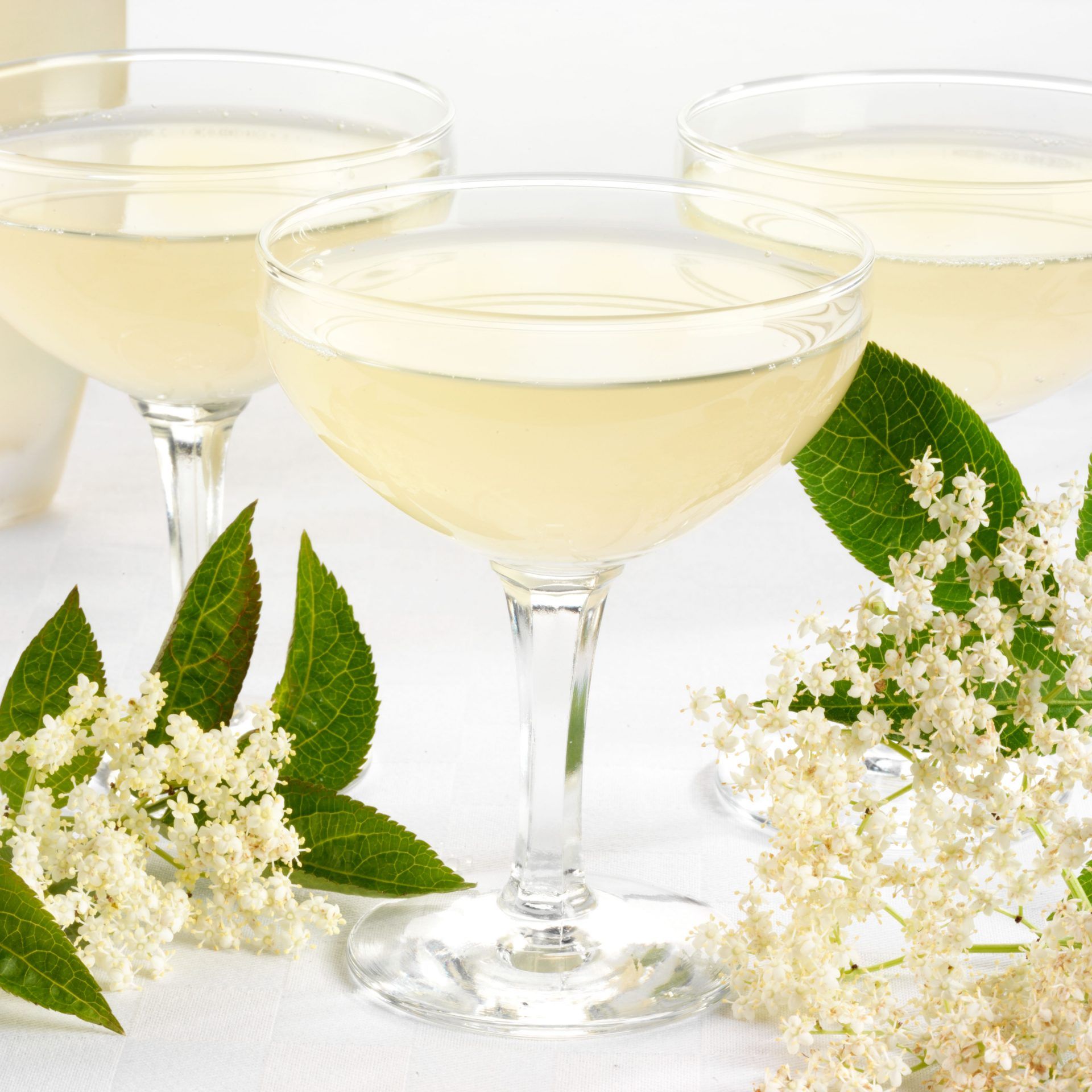 How to make Ed Brown's Elderflower 'Champagne' | Country Life How to make Ed Brown's Elderflower 'Champagne' | Country Life