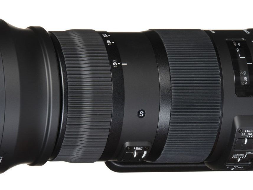 ラスト！SIGMA 150-600mm F5-6.3 DG OS HSM Sigma-150-600mm-F5-6-3-DG-OS-