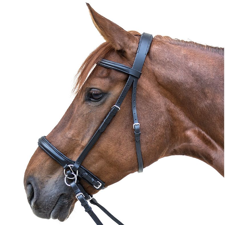 Waldhausen Star Bitless Bridle