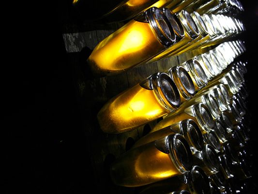 Louis Roederer Cristal 2009年 Buy Louis Roederer : Cristal 2009 Champagne online | Millesima