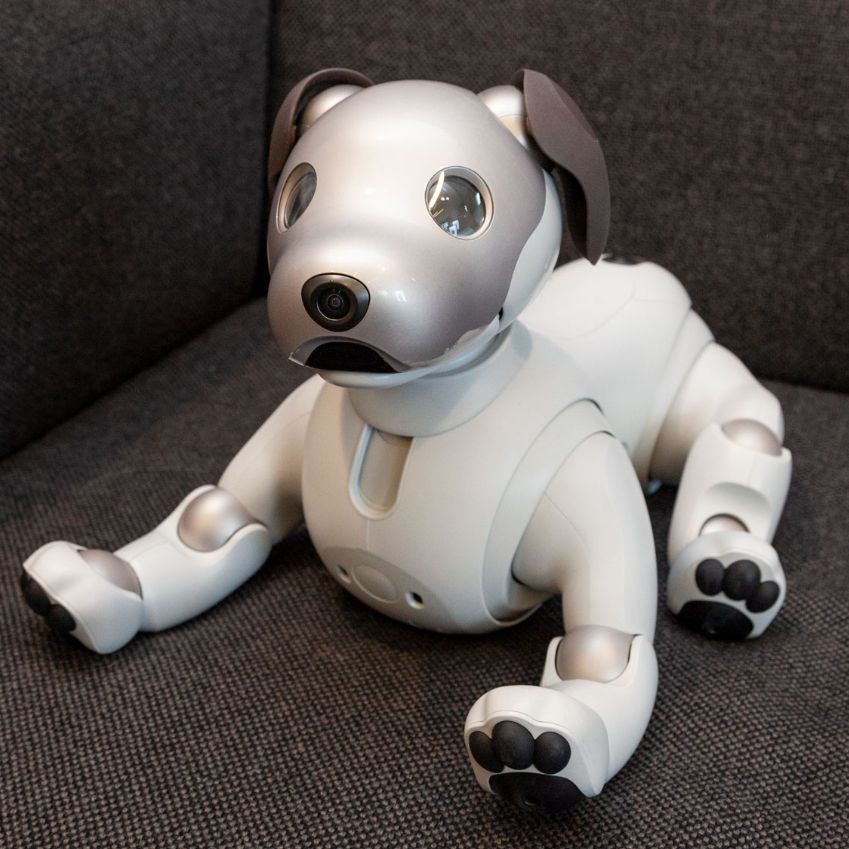 Sony's robot dog Aibo is designed to make you feel puppy