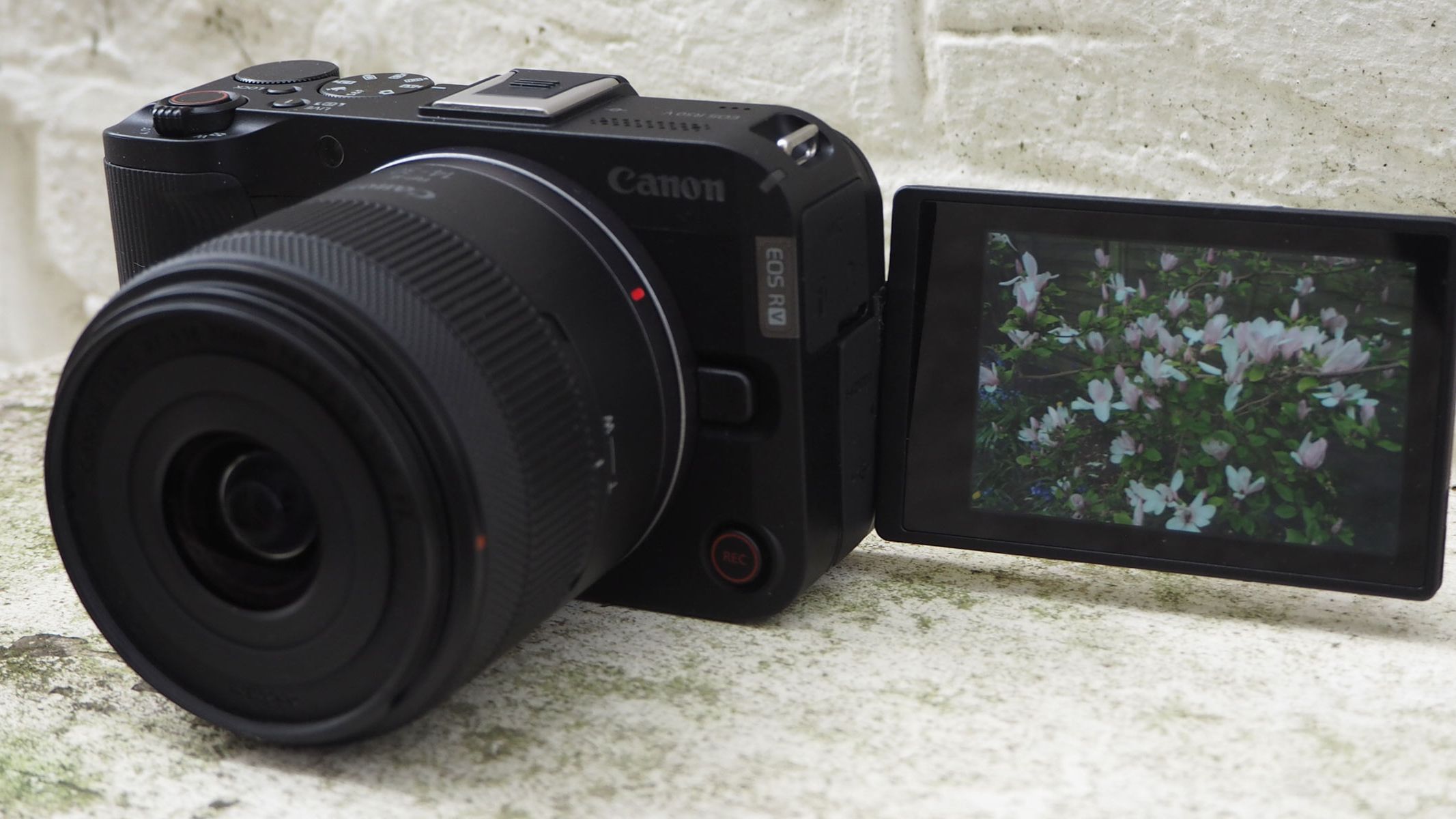Canon EOS R50 V review | Live Science