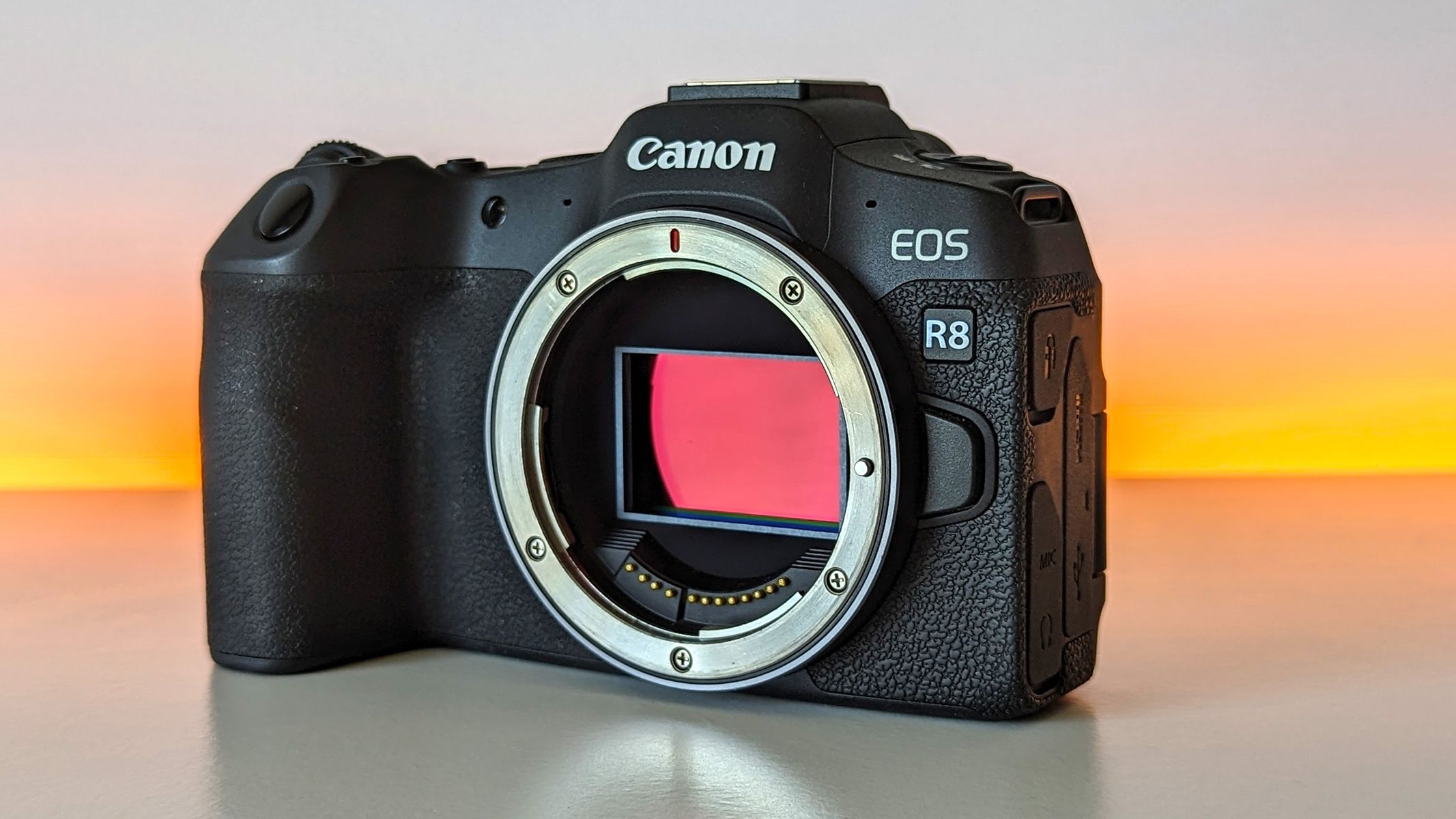 Canon EOS R8 review: Lightweight, versatile and affordable
