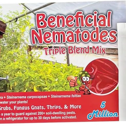 Live Beneficial Nematodes Hb+sc+sf - Kills Over 200 Different Species of Soil Dwelling and Wood Boring Insects. (5 Million_nematodes)