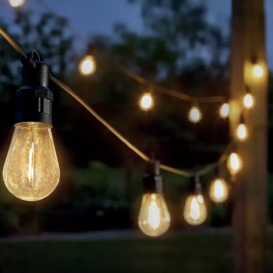 10 vintage festoon string lights in garden at night