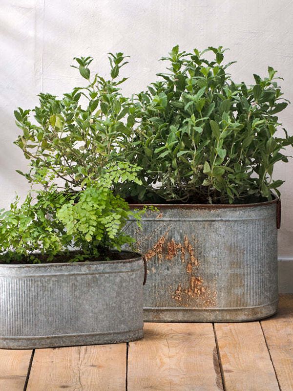Akasa Trough Planter - Zinc - Large / Zinc