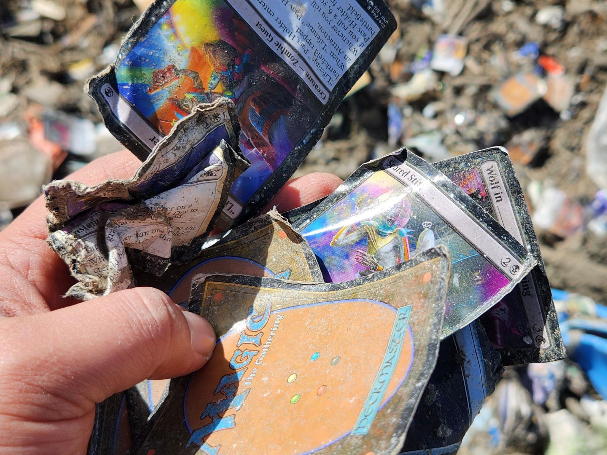Somebody tossed at least $100K of Magic: The Gathering cards in a landfill | PC Gamer Somebody tossed at least $100K of Magic: The Gathering cards in a landfill | PC Gamer