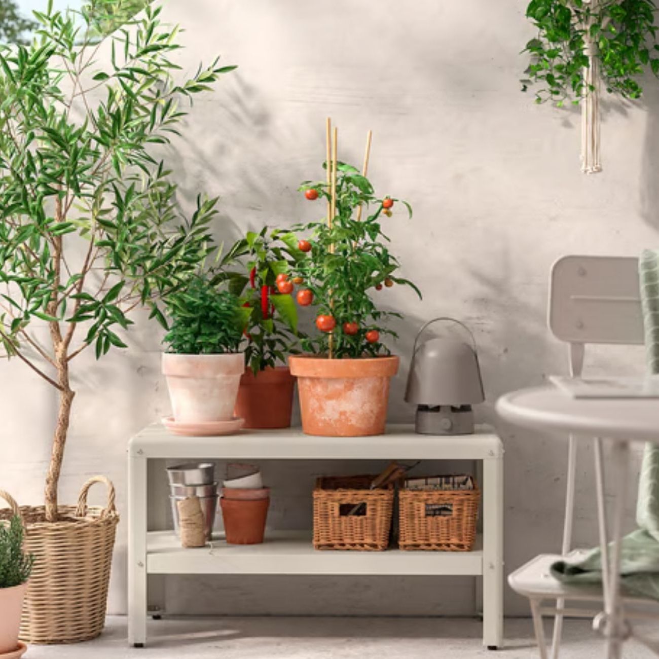 IKEA's New Outdoor Collection: What to Shop for Spring 2026 | Gardening  Know How