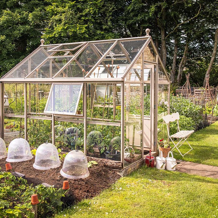 Greenhouse trends for 2025: 10 inspirational ideas | Homes and Gardens