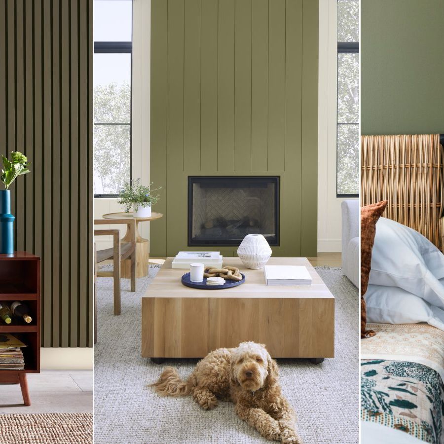 What are the best olive green paint colors? | Homes and Gardens