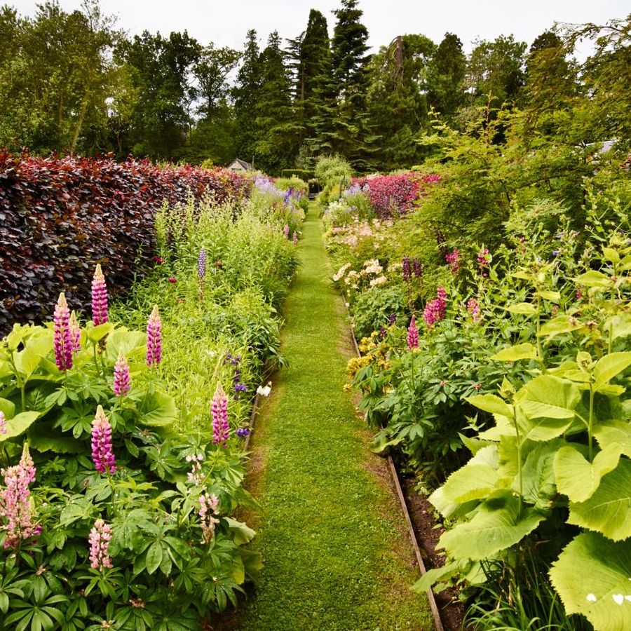 How to Stack Plants in Grow a Garden: Ultimate Space-Saving Tips