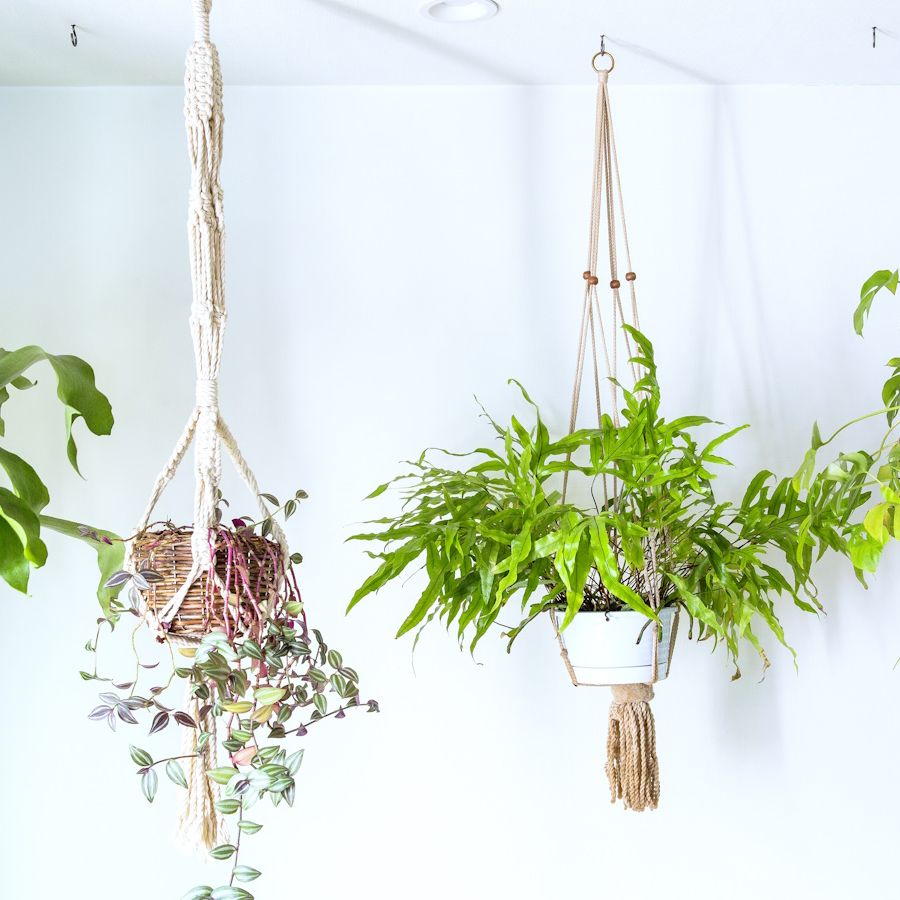 IKEA's Hanging Planter is an Affordable Design Hero | Homes and Gardens