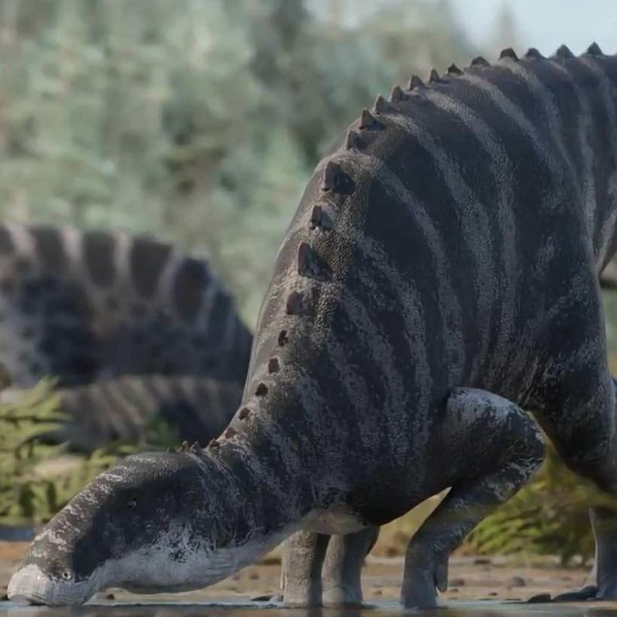 Never-before-seen 'missing link' dinosaur walks, drinks and