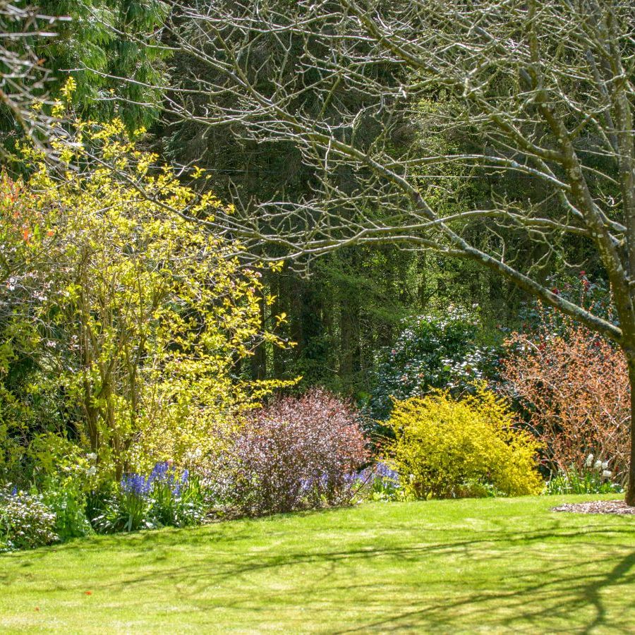Should you plant grass seed in the fall? | Homes and Gardens