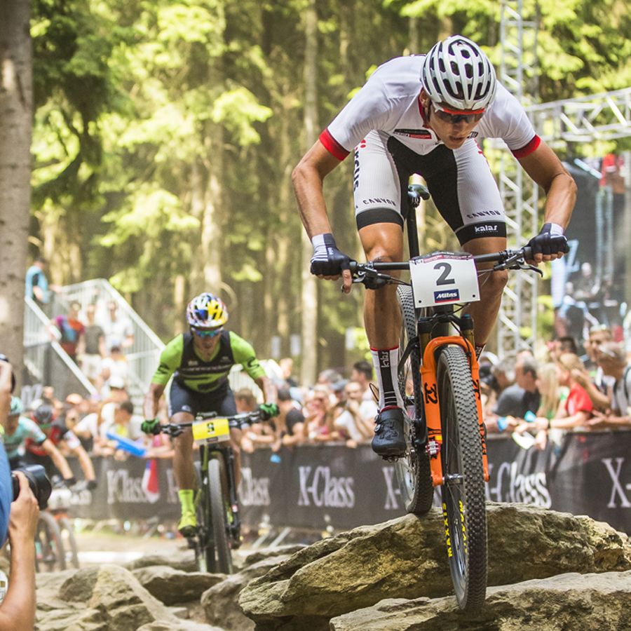 自転車本体 fox 32 mtb fork FOX 32 Step-Cast Mountain Bike XC Suspension Fork – RideFOX