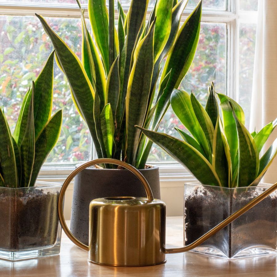 plant pot stand metal Buy 7 Tier Metal Pot Stand for Home Decor