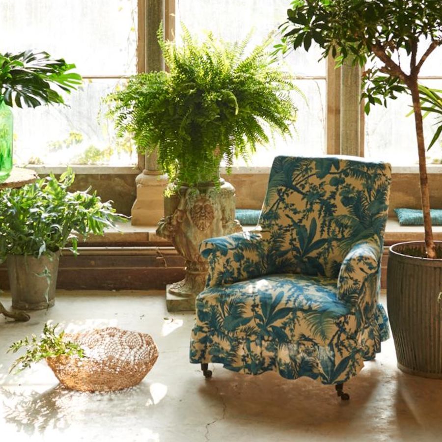 Why are my monstera leaves curling? Expert advice | Homes and Gardens
