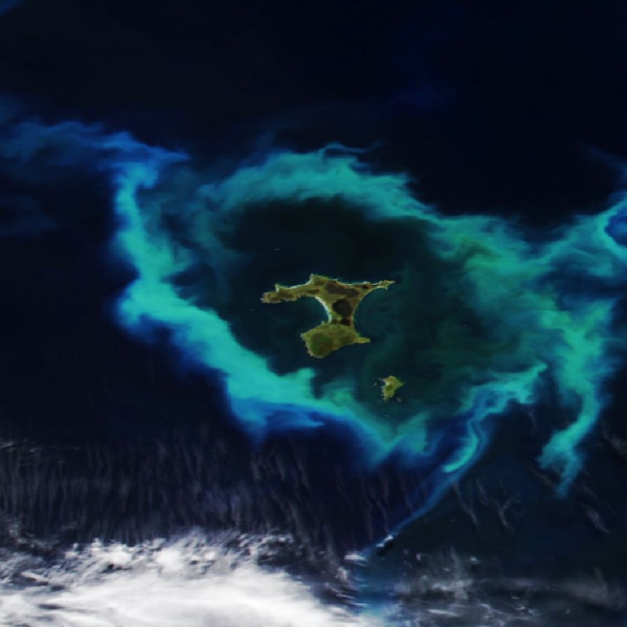 Glowing ring of plankton surrounding New Zealand islands linked to