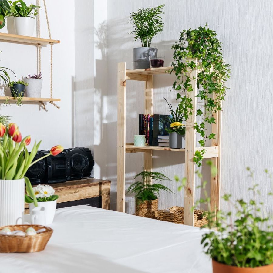 IKEA's Plant Stand Will Solve Your Small-Space Woes | Homes and