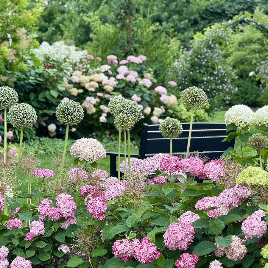 見杉宗則　My Garden Garden Diaries: Eric and Christopher Feml-Nelsen's Cottage Garden
