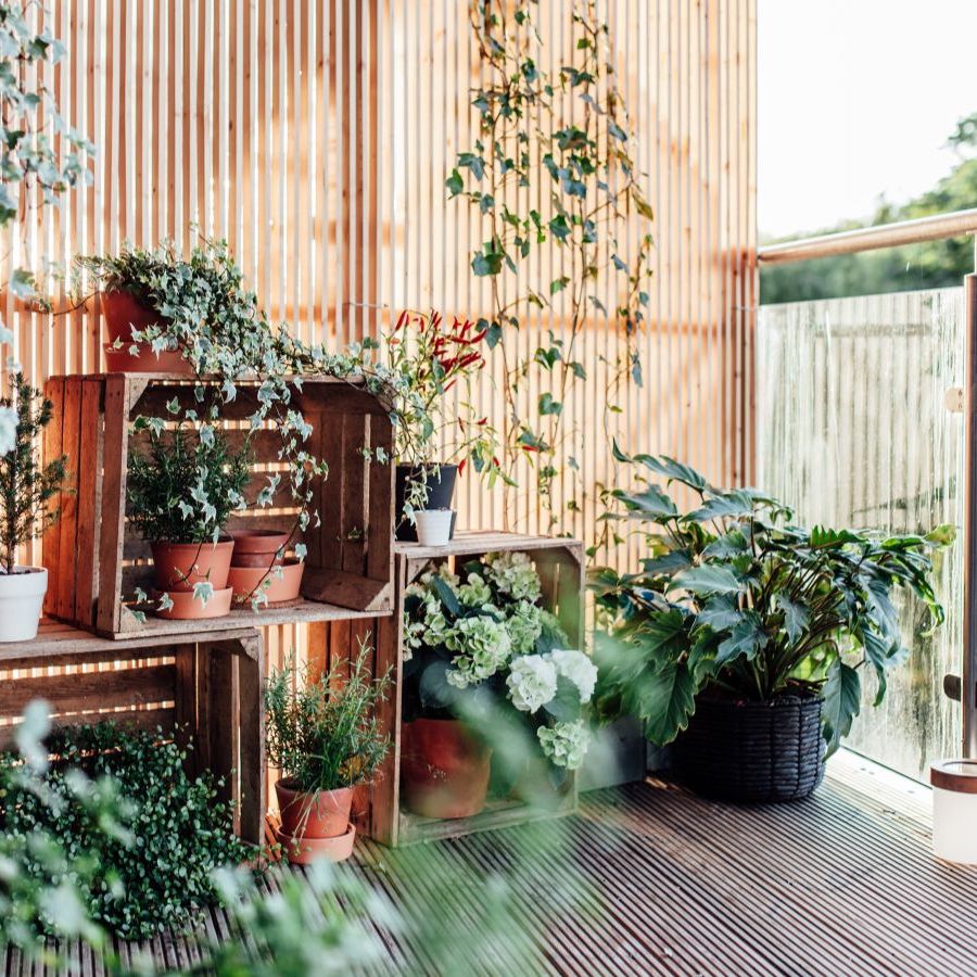 IKEA's Adjustable Plant Shelf is a Small-Space Savior | Homes and Gardens