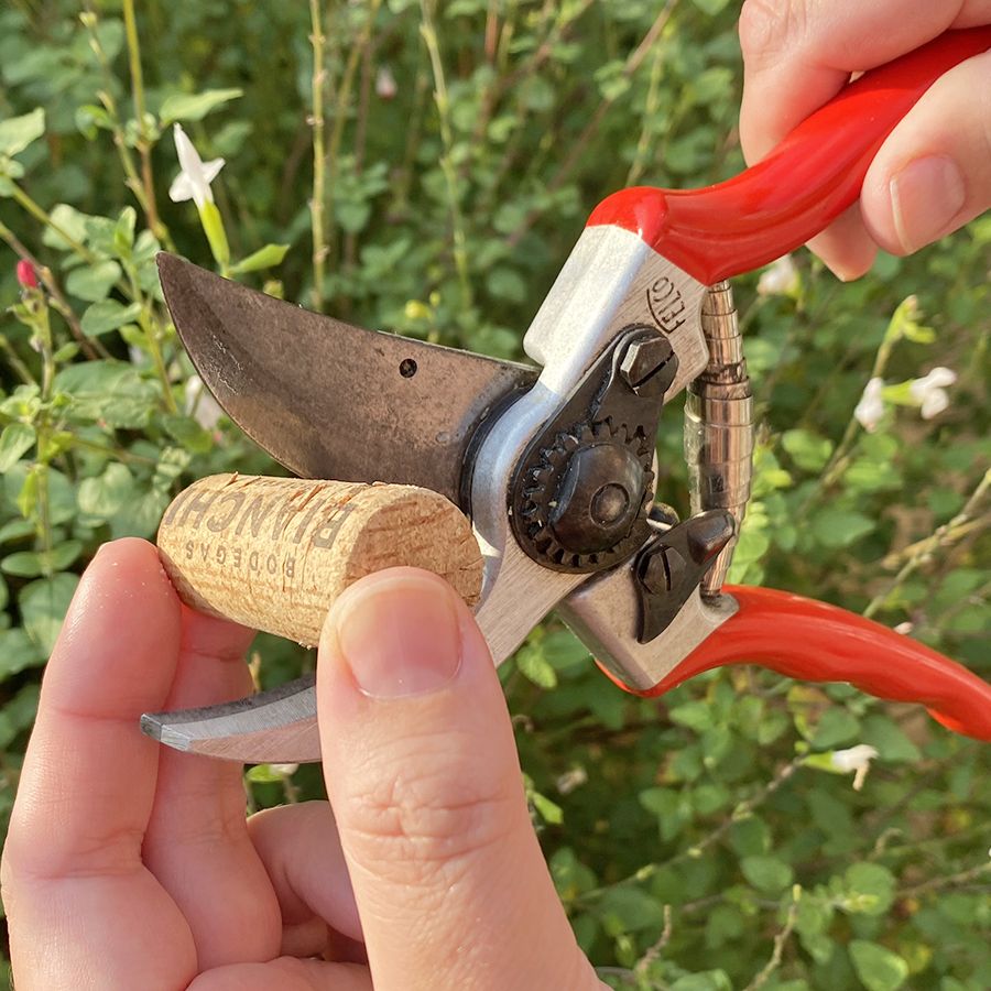 How to Maintain Pruning Knives for Sharpness: Expert Tips
