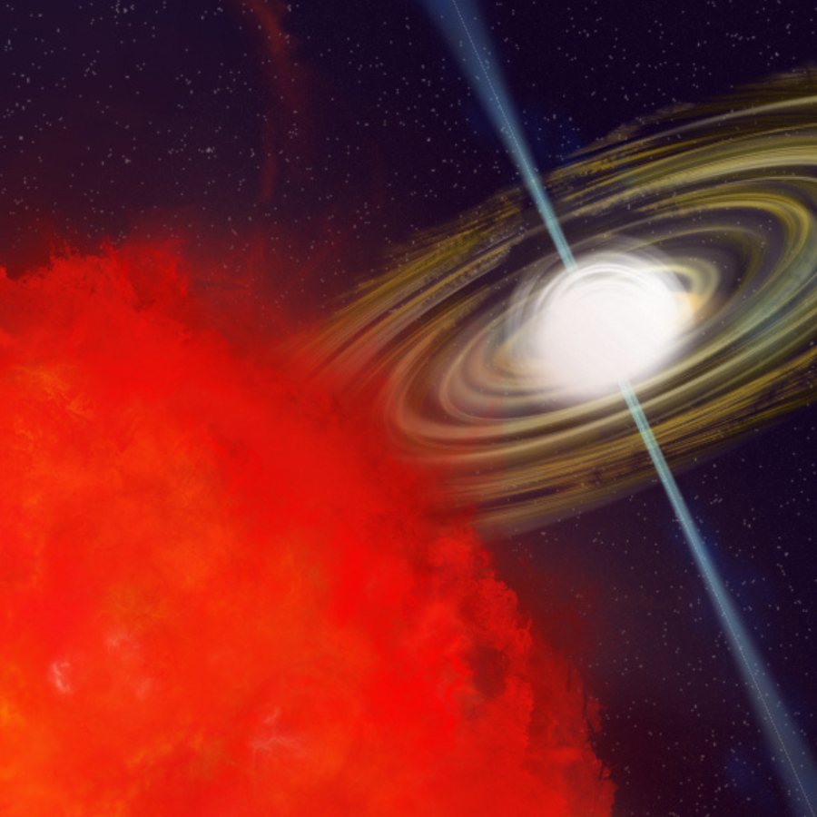 【新品未開封】Fyrri Lif cosmology gRcLZM63mKxDAoV5GuzXgU.png