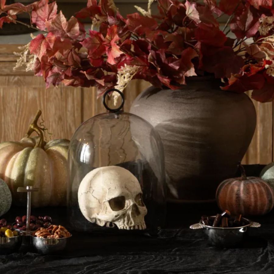 What'S the Best Light to Put on a Halloween Decoration: Ultimate Guide