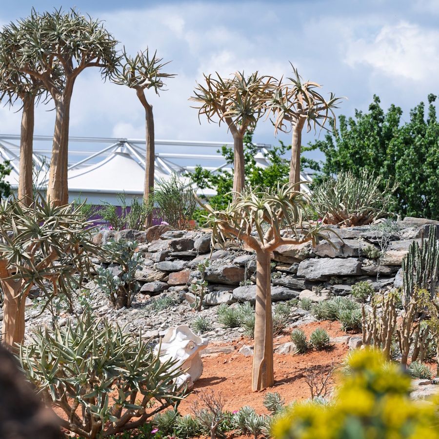 RHS Chelsea Flower Show: Karoo Succulent Garden | Homes and Gardens