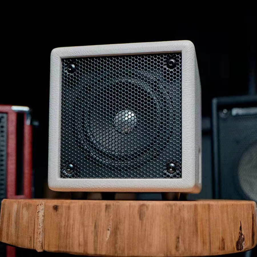 The Phil Jones X4 Nanobass is a ridiculously small Bluetooth amp