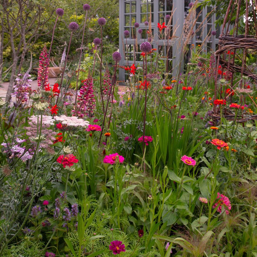 Flower seeds to sow in March  the 7 varieties I choose | Homes and Gardens