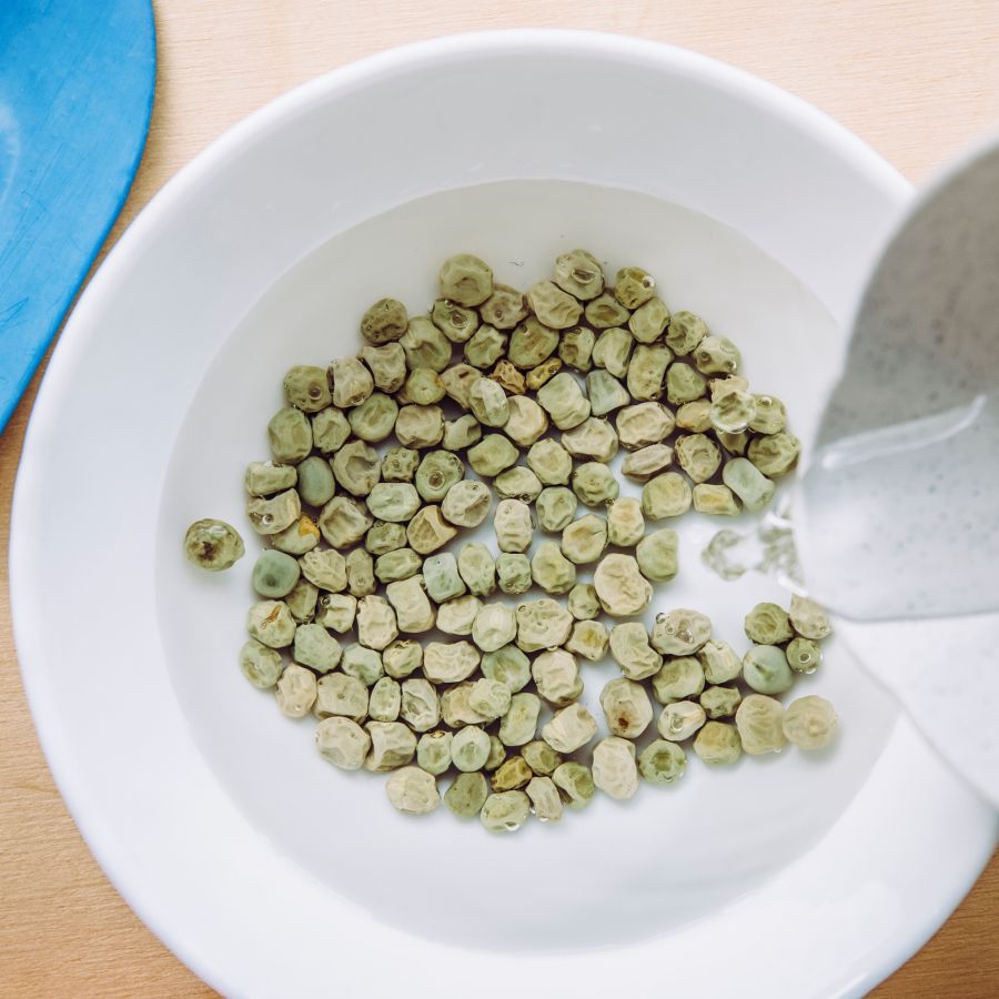 How & Why You Should Soak Seeds Before Planting | Gardening Know How
