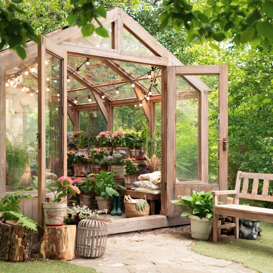food for indoor plants Indoor Plant Food | Fertilizer