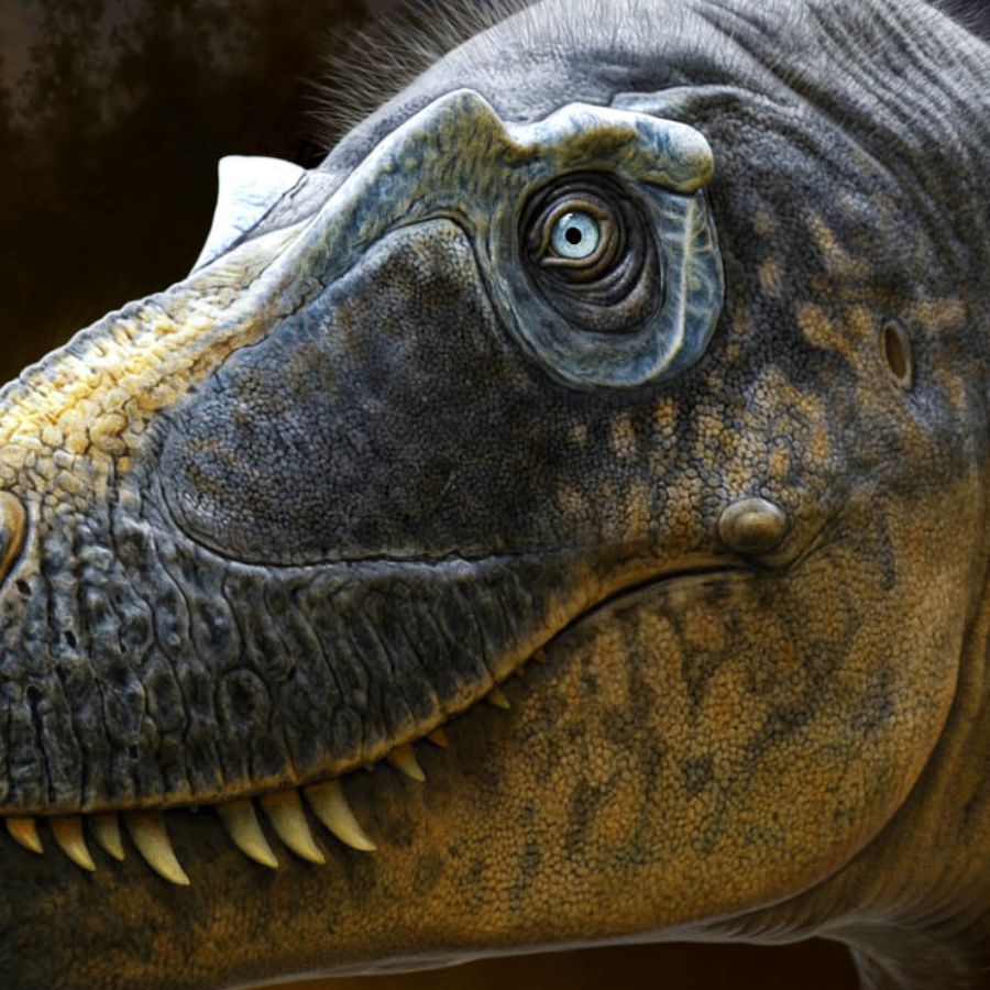 Frightful' never-before-seen tyrannosaur might be the 'missing