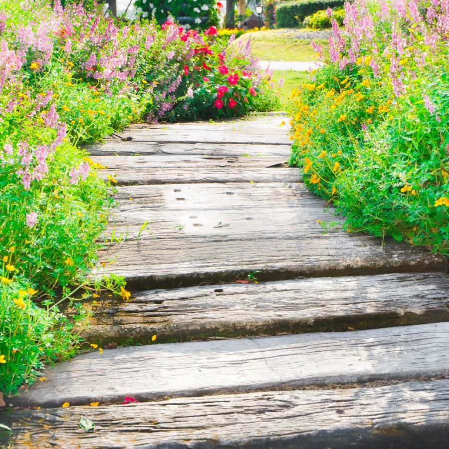 4 Cheap DIY Garden Path Ideas For A Budget-Friendly Landscape | Gardening  Know How, image size:900x900
