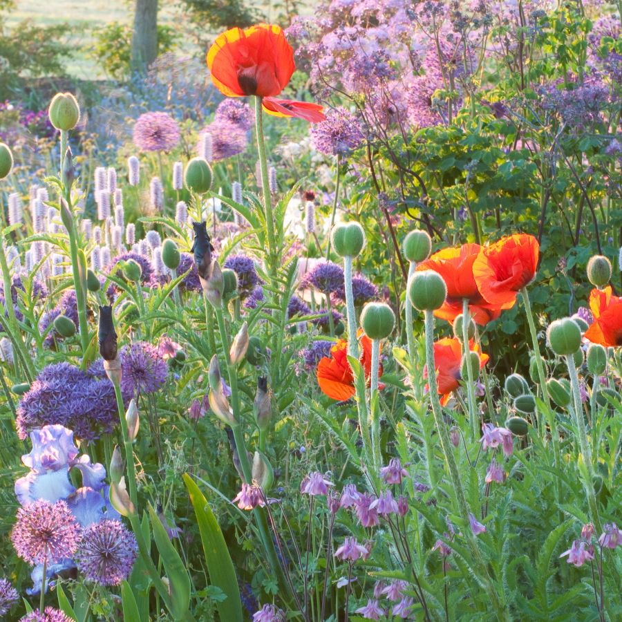 Karina pedro boobs In other words it was very entertaining.