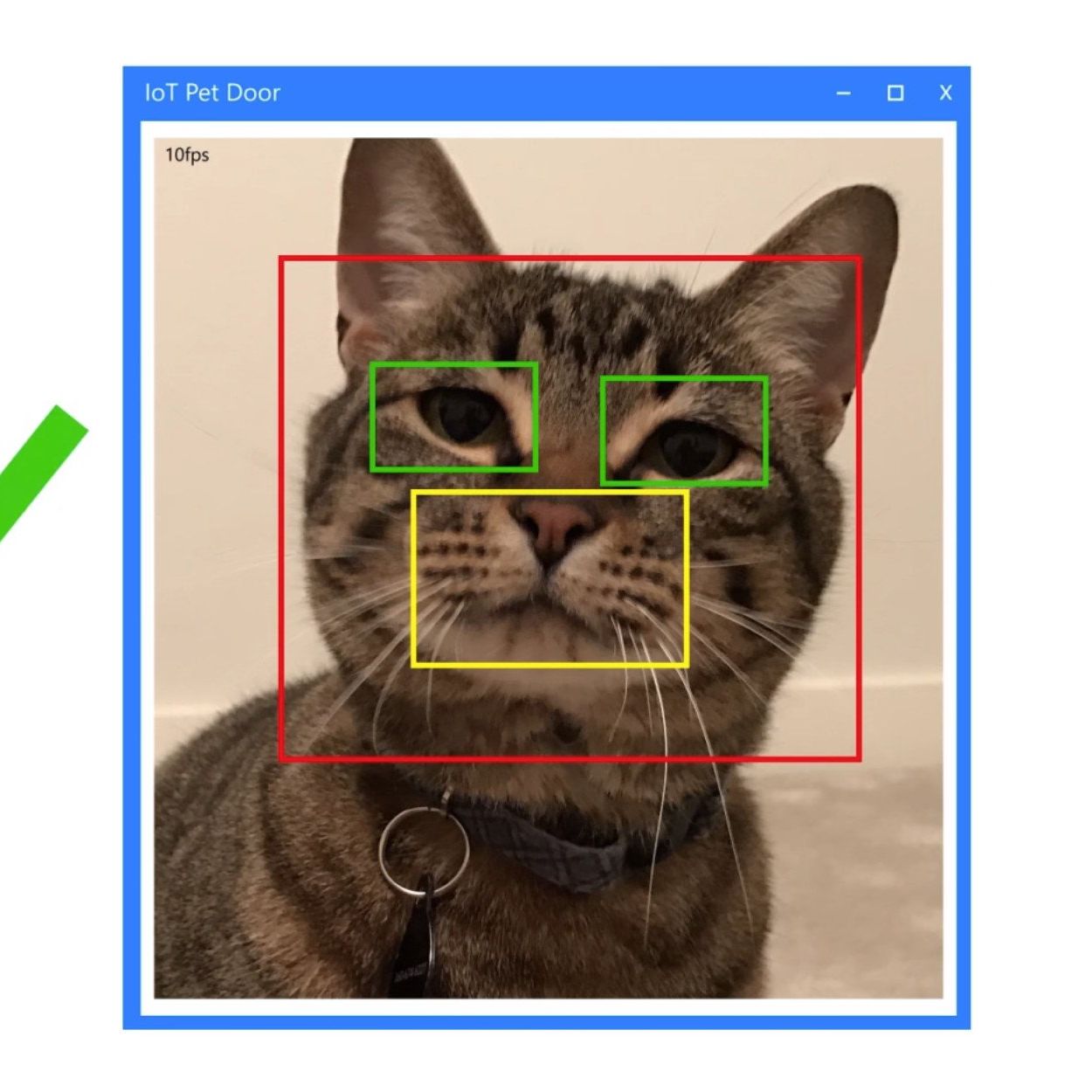 Microsoft brings feline facial recognition to pet doors with
