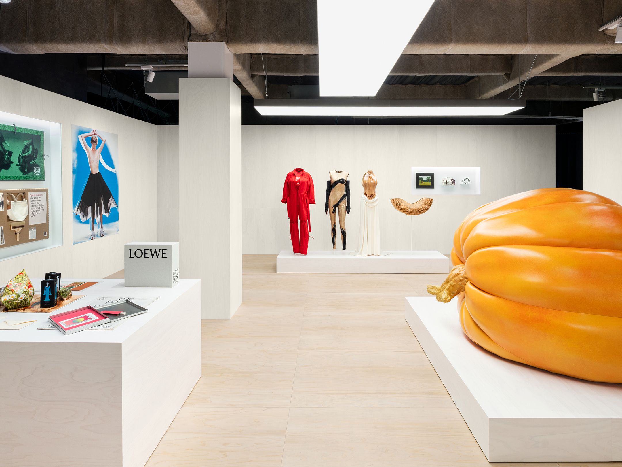 【非売品】LOEWE CRAFTED WARLD展 写真集 Loewe Crafted World （Yodobashi J6 Building） ｜Tokyo Art Beat